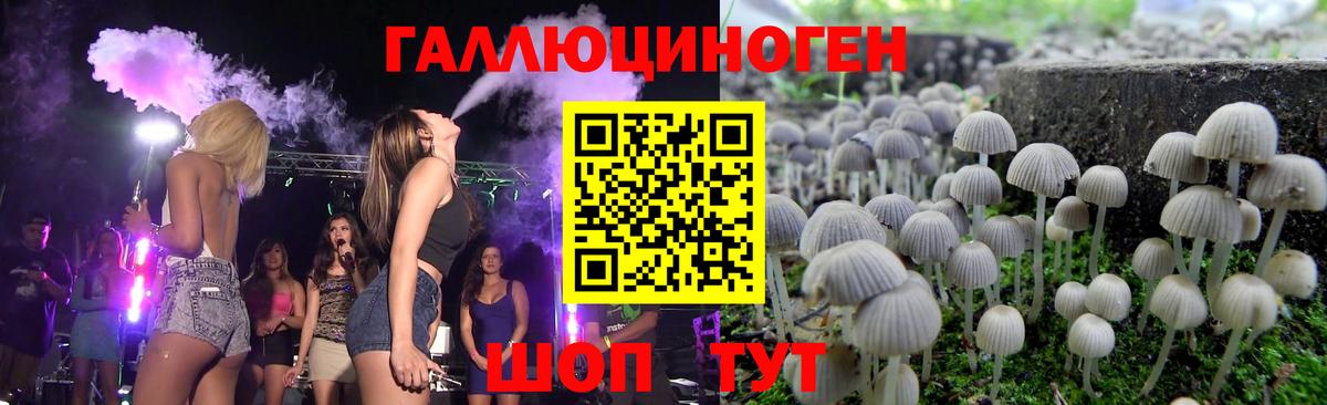 Заводоуковск  где продают   Вход с VPN  Галлюциногенные грибы Magic Shrooms 